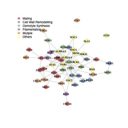 Graph of MAPK pathway by HSGHS
